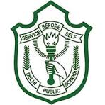 DPS Vasant Kunj Company logo